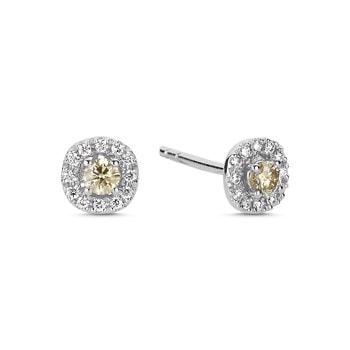 14 kt hvidguld Champagne ørestikkere med i alt 0,32 ct diamanter Champagne / Wesselton SI
