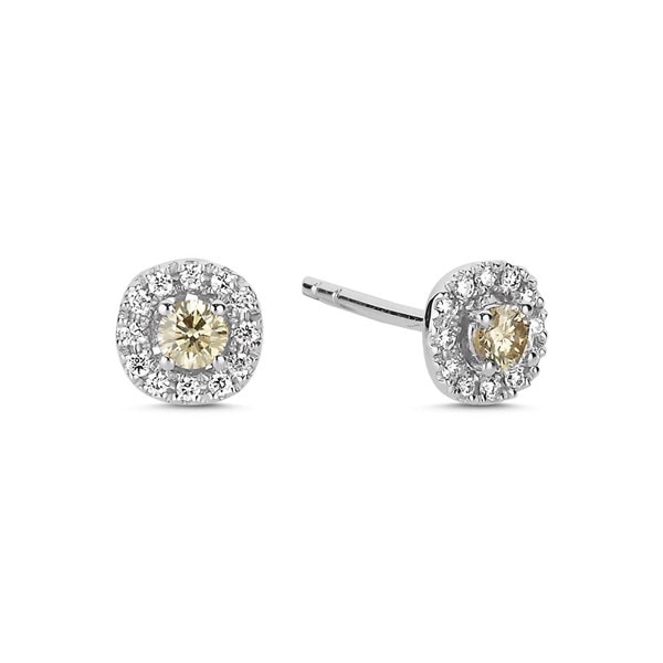 14 kt hvidguld Champagne ørestikkere med i alt 0,32 ct diamanter Champagne / Wesselton SI