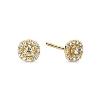 14 kt rødguld Champagne ørestikkere med i alt 0,32 ct diamanter Champagne / Wesselton SI