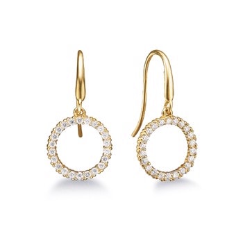 Aagaard 8 karat guld Cirkel Øreringe med Zirkonia