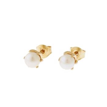 Lund Klo 8 kt. Guld ørestikker blank-5,5-6,0 mm kulturperle