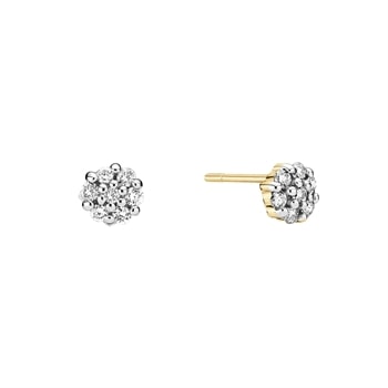 Ørestik 0,25ct TC.P2, 14 karat