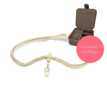Embrace kampagne armbånd i forgyldt med 4 mm forgyldt perle charm & smykkeskrin