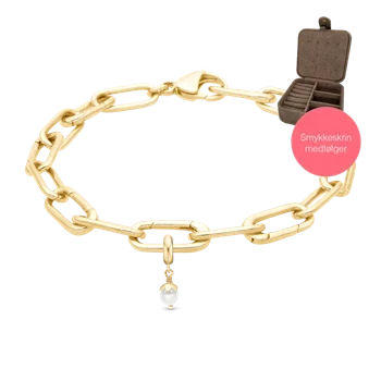 Embrace kampagne armbånd i smalt forgyldt med 4 mm forgyldt perle charm & smykkeskrin, 17-20 cm