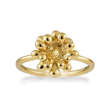 Rabinovich forgyldt sterling sølv fingerring, Caring Nest med krystal