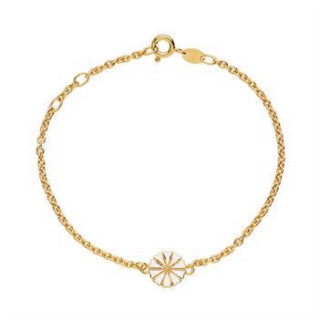 Lund Copenhagen 9 mm Marguerit forgyldt 925 sterling sølv armbånd blank, model 901009-M