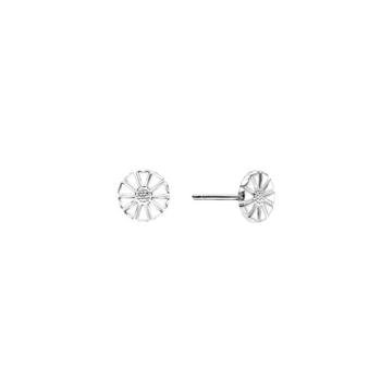 Sølv ørestikker formet som margueritblomster med detaljerede kronblade, 7,5 mm i diameter.