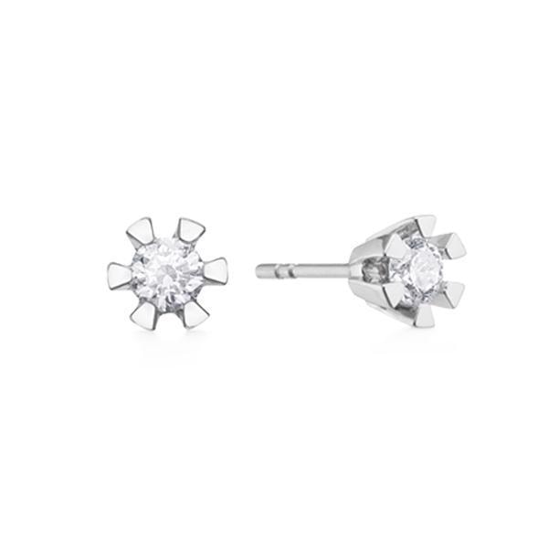 Aagaard 14 kt hvidguld Eternity 6 grab ørestikker med 2 x 0,05-1,00 ct Diamanter