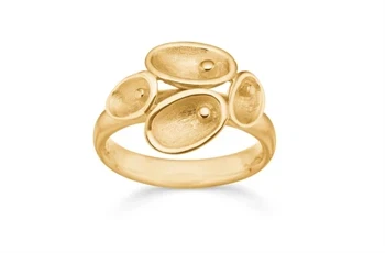Ring i forgyldt sølv – Pinpoint