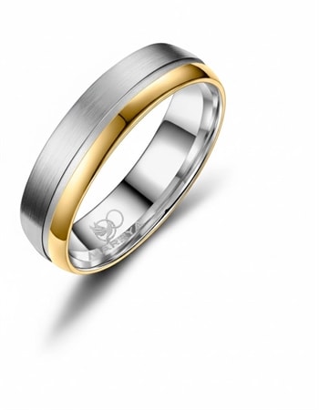 Marrya Titanium herre Vielsesring med forgyldning