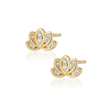 Alura GAIA EARSTUD 06