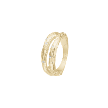 Ring, forest, forg., fra aagaard