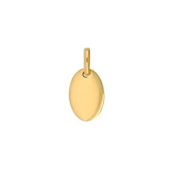 8kt. guldvedhæng oval plade 8x12mm , fra Siersbøl