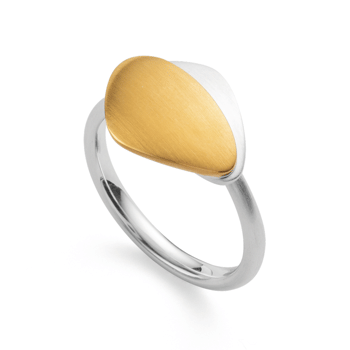 Sterling sølv Ring, delvis forgyldt, mat rhodineret.